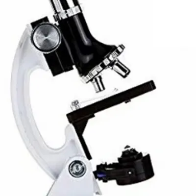 MİKROSKOP 600X